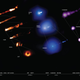 Views of the M87 black hole at different spectral wavelengths.